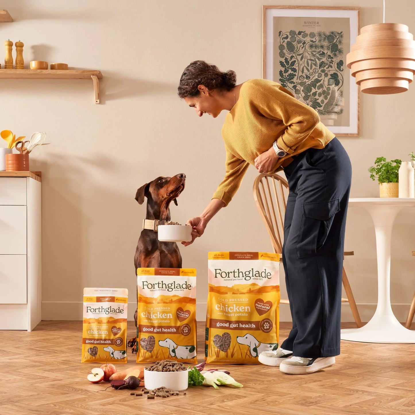 Cold Pressed Chicken Dry Dog Food