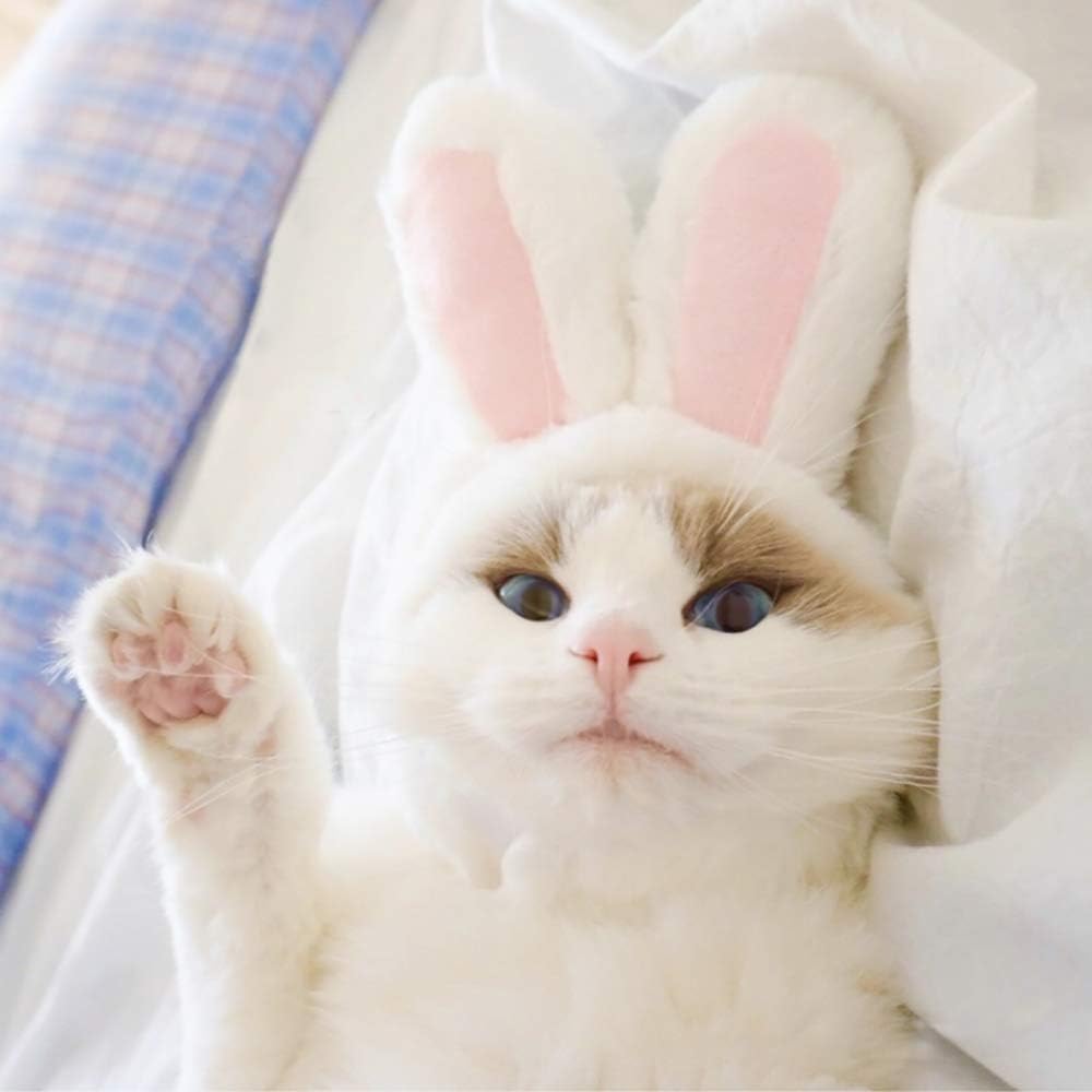 Cute Costume Bunny Rabbit Hat with Ears for Cats & Small Dogs Party Costume Easter Pet Accessory Headwear