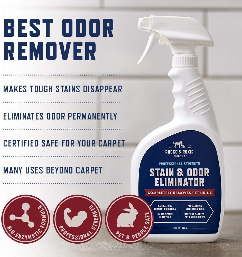 Stain & Odor Eliminator for Strong Odor - Enzyme Pet Odor Eliminator for Home - Carpet Stain Remover for Cats & Dog Pee - Enzymatic Cat Urine Destroyer - Carpet Cleaner Spray