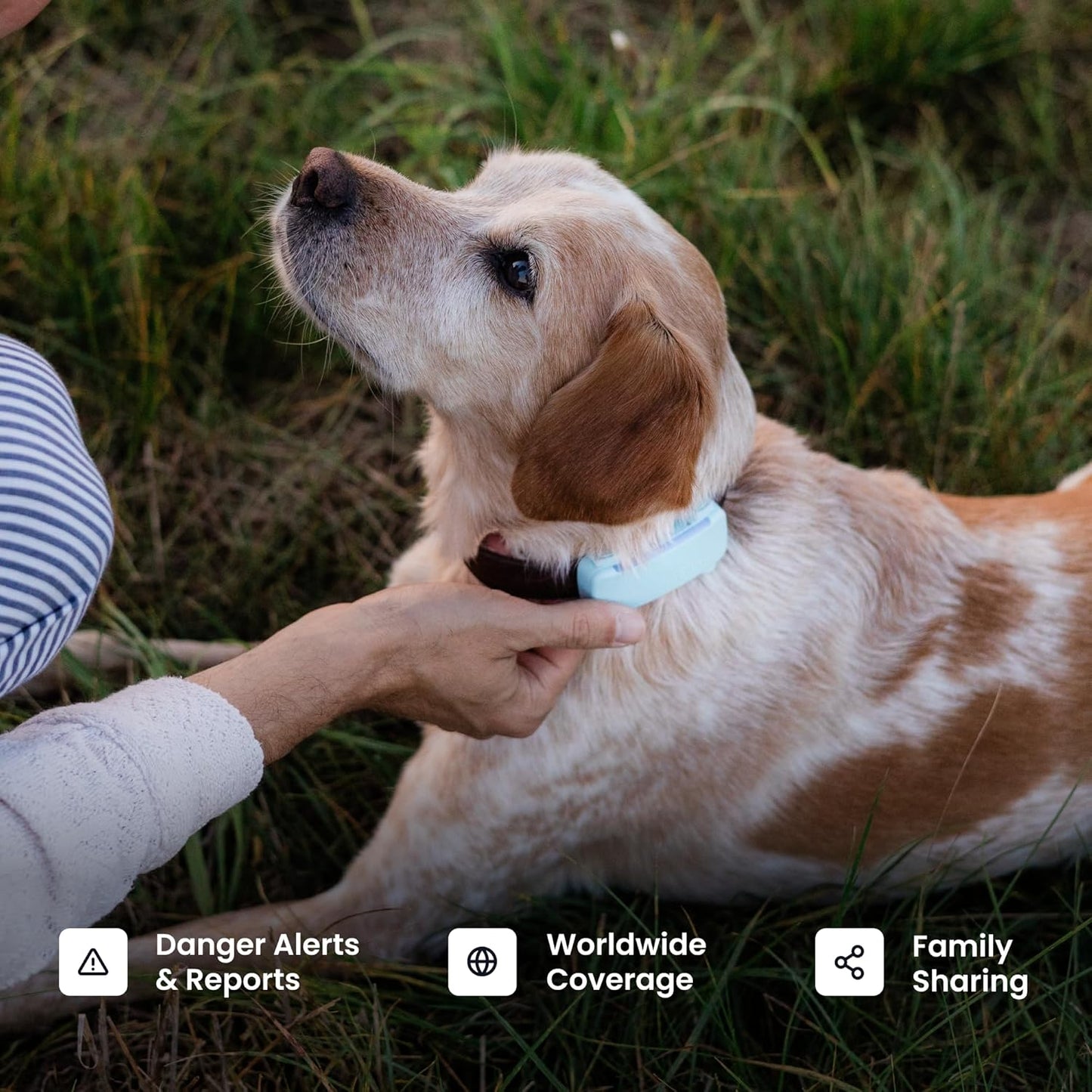 Smart Dog GPS Tracker | Live Pet Tracker with Virtual Fence | Vital Signs Monitoring of Heart & Respiratory Rate | Bark Monitoring | Dog Collar Attachment (Brown)