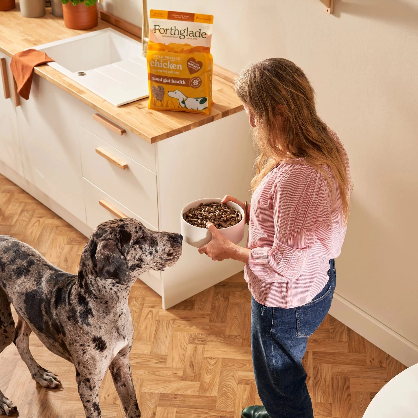 Cold Pressed Chicken Dry Dog Food