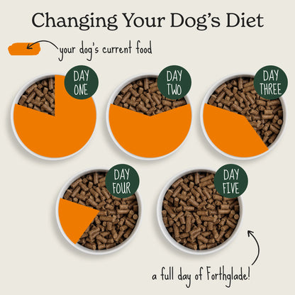 Cold Pressed Chicken Dry Dog Food