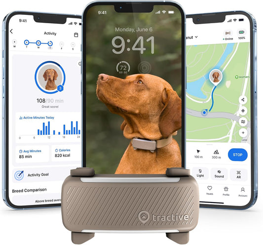 Smart Dog GPS Tracker | Live Pet Tracker with Virtual Fence | Vital Signs Monitoring of Heart & Respiratory Rate | Bark Monitoring | Dog Collar Attachment (Brown)