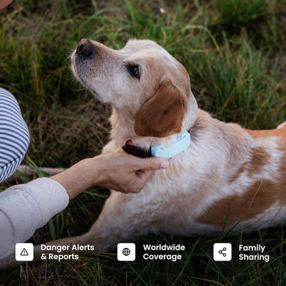 Smart Dog GPS Tracker | Live Pet Tracker with Virtual Fence | Vital Signs Monitoring of Heart & Respiratory Rate | Bark Monitoring | Dog Collar Attachment (Brown)